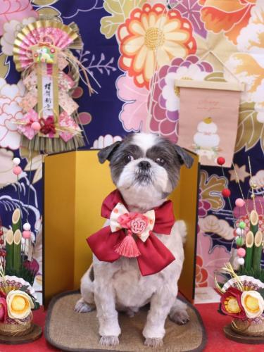 20240131大吉くん